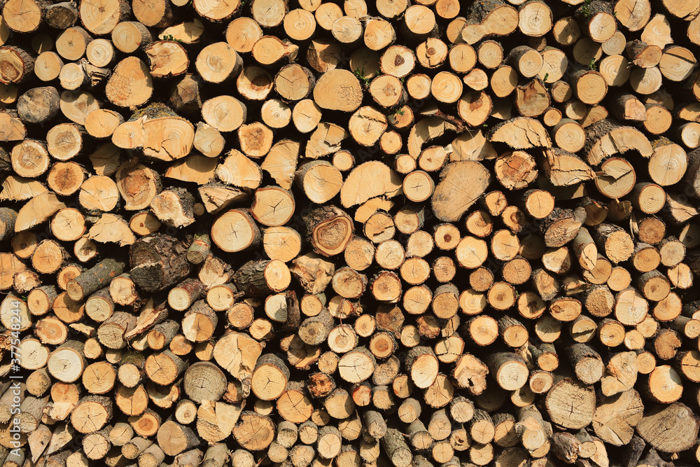 Full frame of wooden firewood stacked on a pile. View of a tree cut.