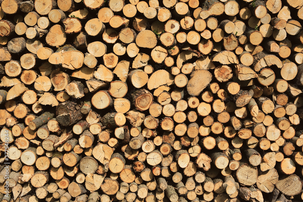 Full frame of wooden firewood stacked on a pile. View of a tree cut. Full frame of wooden firewood stacked on a pile. View of a tree cut.