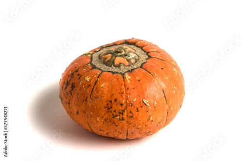 Fresh orange pumpkin isolated on a white background. Small decorative pumpkin. photo