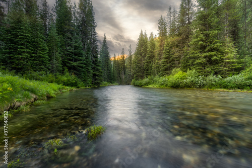 Mountain river in the forest at sunrise. photo