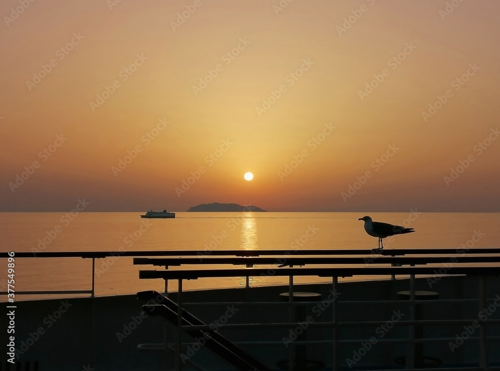 Amazing sunset at sea, seagull perched on cruise ship open deck railing