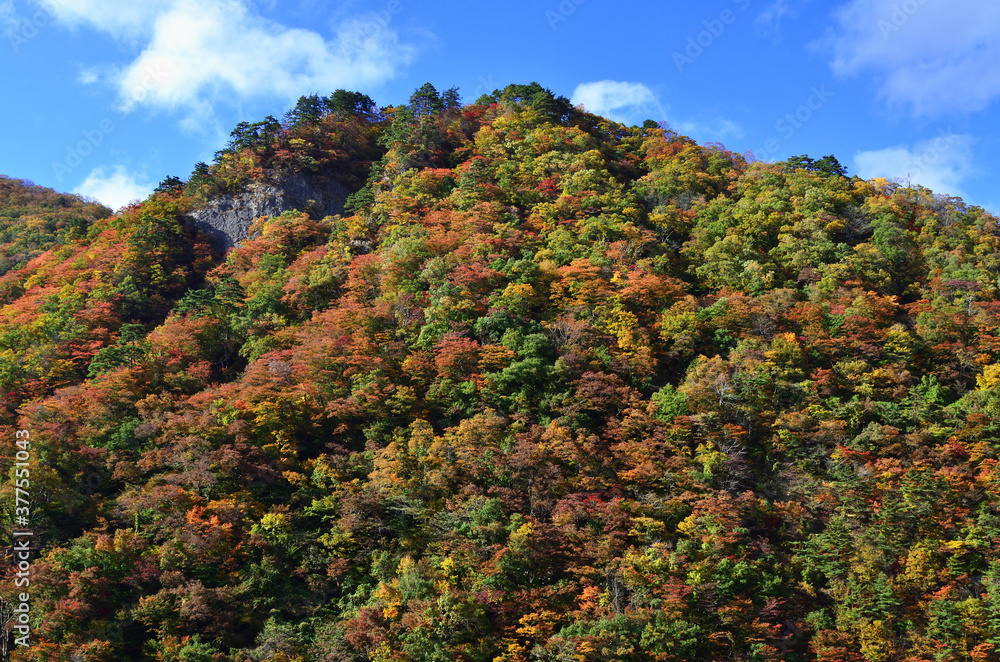 カラフルに色づく紅葉の山に見える岩肌と背景の青空