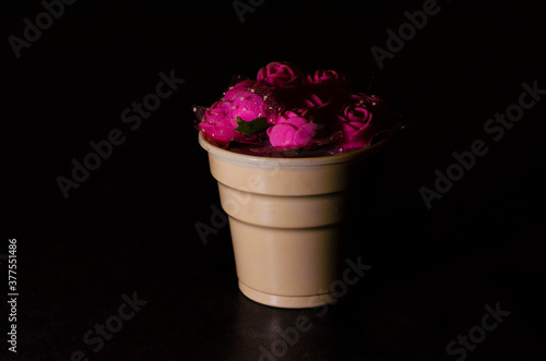 purple color roses in pots and black background