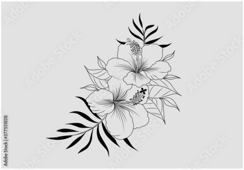 vector illustration of black white lining sketch drawing flower isolated on white background