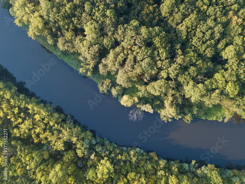 Top view of the river with turns of meanders and green forests in bright sunlight. Creek in the park among the trees. Aerial drone view. Summer or autumn time. Stream surrounded by green forest.