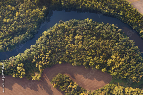 Top view of the river with turns of meanders and green forests in bright sunlight. Creek in the park among the trees. Aerial drone view. Summer or autumn time. Stream surrounded by green forest.