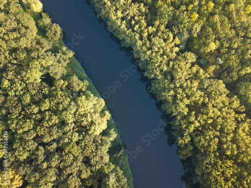 Top view of the river with turns of meanders and green forests in bright sunlight. Creek in the park among the trees. Aerial drone view. Summer or autumn time. Stream surrounded by green forest.