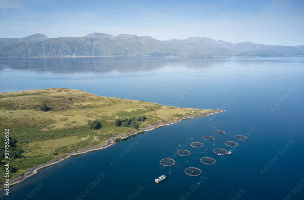 Fototapeta premium Fish farm salmon round nets in natural environment Loch Awe Arygll and Bute Scotland