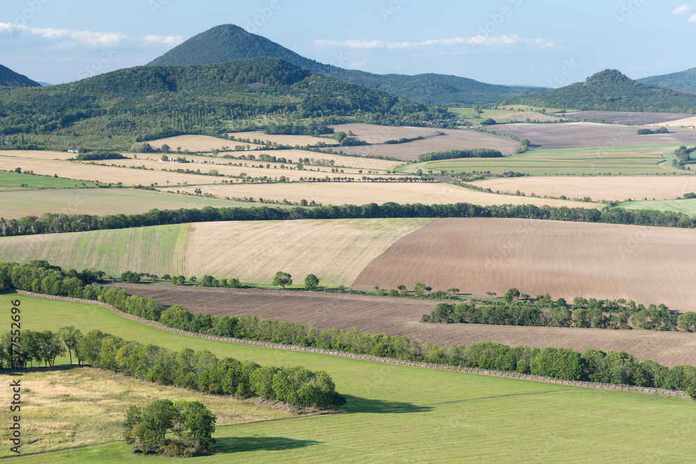 Fototapeta premium Green fields an meadows and mountains view before harvest. Aerial drone view. Summer or autumn time. Road through cultivating the land in the countryside on a summer evening with blue sky background.