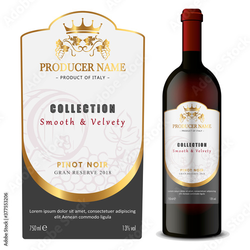Premium Quality Red and White Wine Labels Set. Clean and Modern Design with Hand Drawn Grapes Bunch, Leaf and Stylish Minimal Typography.
