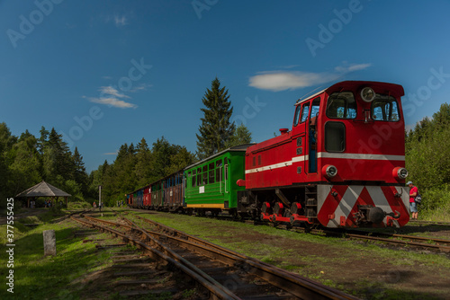 Fototapeta Naklejka Na Ścianę i Meble -  Narrow gauge railway in Balnica station in Poland mountains in summer evening