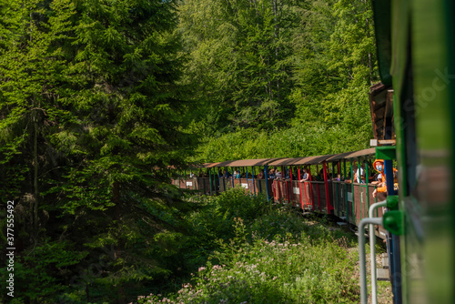 Fototapeta Naklejka Na Ścianę i Meble -  Narrow gauge railway near Balnica station in Poland mountains in summer evening