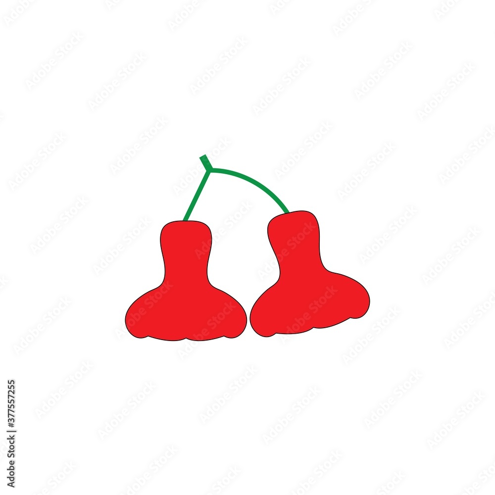 water apple guava vector water apple guava vector
