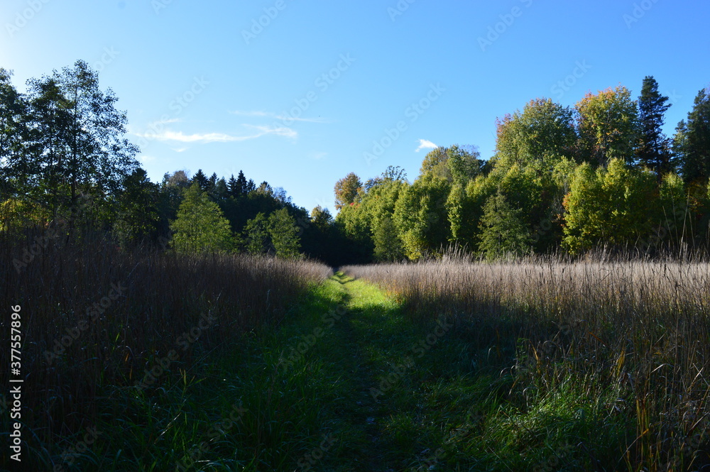 Autumn colors in the beautiful Stockholm Archipelago, Sweden