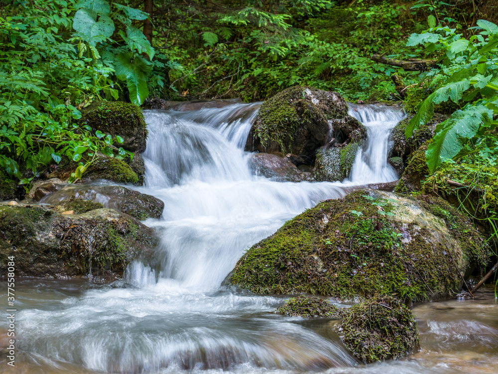 Picture of a mountain stream or creek flowing between rocks in Carpathian Mountains, Romania. Seven ladders canyon in Piatra Mare (Big Rock)mountains. Picture of a mountain stream or creek flowing between rocks in Carpathian Mountains, Romania. Seven ladders canyon in Piatra Mare (Big Rock)mountains.