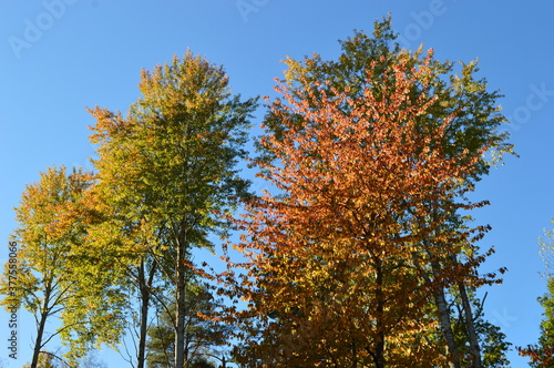 Autumn colors in the beautiful Stockholm Archipelago, Sweden