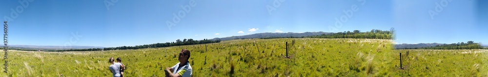 Obraz premium grass and sky