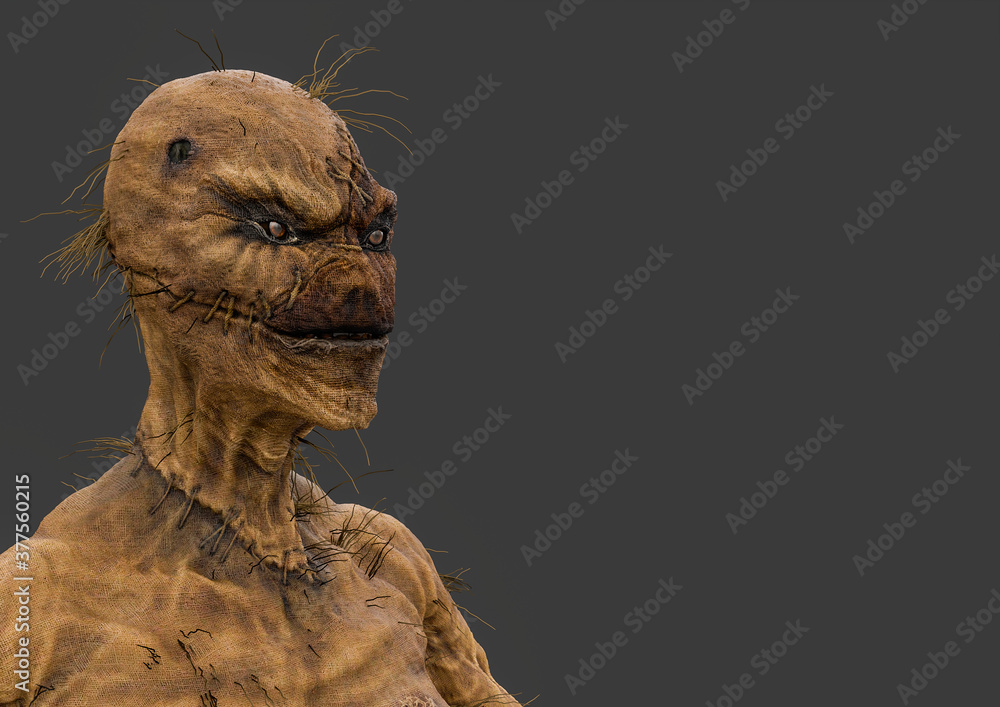 ugly scarecrow id portrait in side view with copy space ugly scarecrow id portrait in side view with copy space