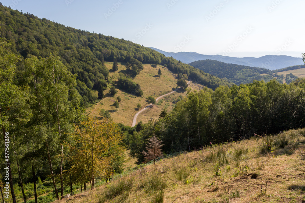 Fototapeta premium Sècheresse en montagne en été