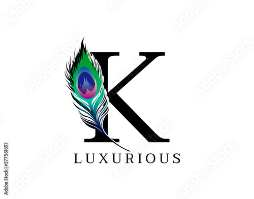 K Letter Decorated With Exotic Peacock Feather.