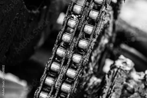 Quadro em tela Close up the detail of a wheel and grease on the gear and chain