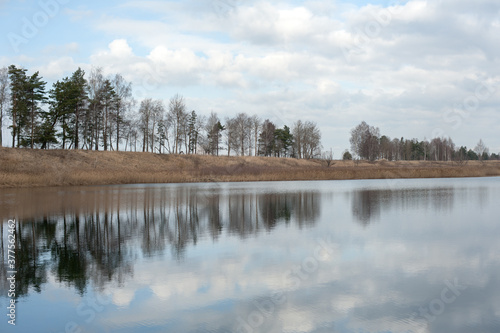 reflection in the water of trees and sky