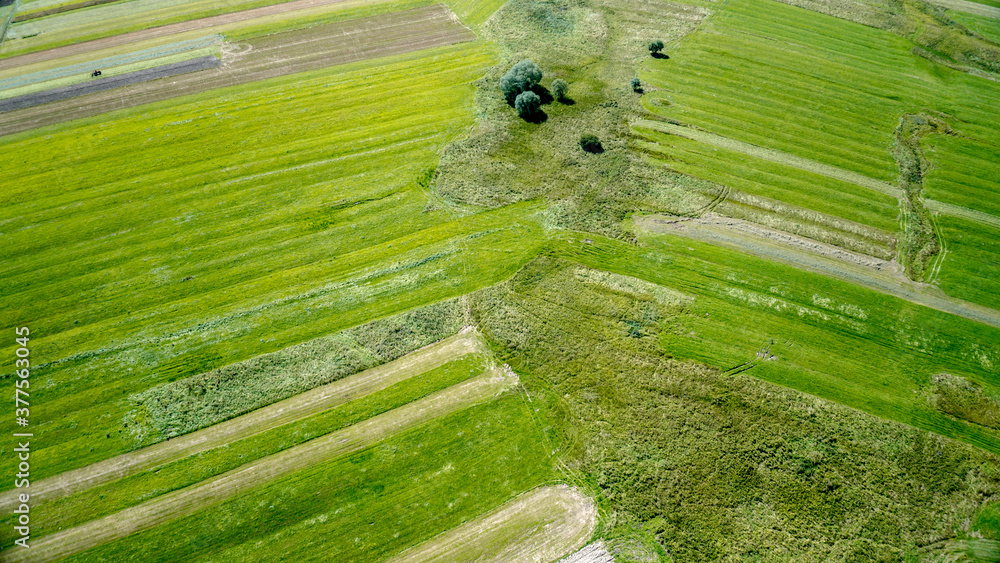 Abstract aerial green agricultural land and farm fields