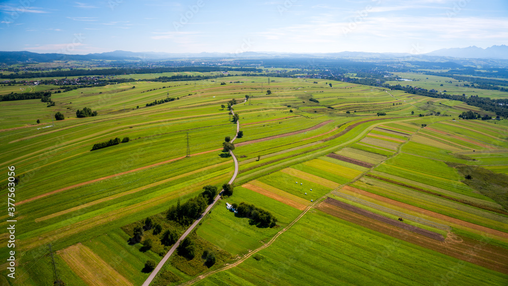 Abstract aerial green agricultural land and farm fields