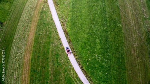 Obraz na płótnie Abstract aerial green agricultural land and farm fields w salonie