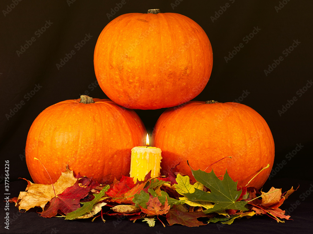 A trio of pumpkins against a black background