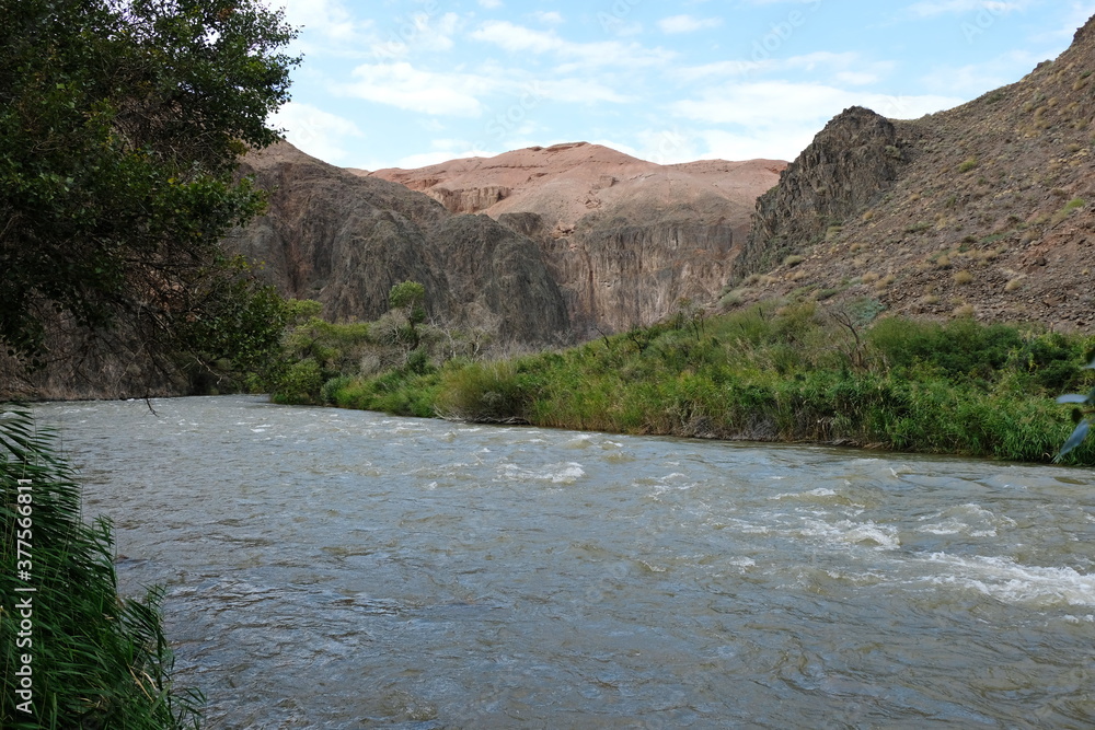 The river flows along the Charyn canyon.