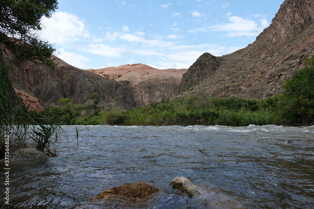 The river flows along the Charyn canyon.