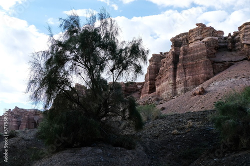 Shrubs grow along the gorge in the Charyn canyon.