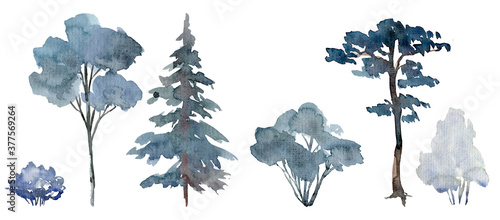Snowy trees and shrubs, winter scene elements, bluish winter forest