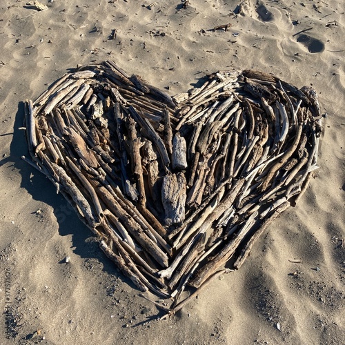 diftwood heart on the beach photo