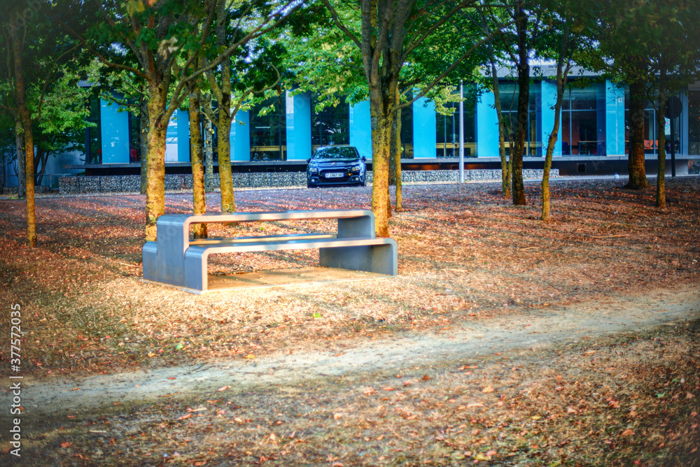 Naklejka premium bench in the park