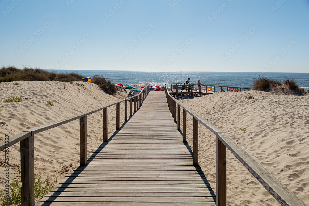 path to the beach in aveiro, portugal