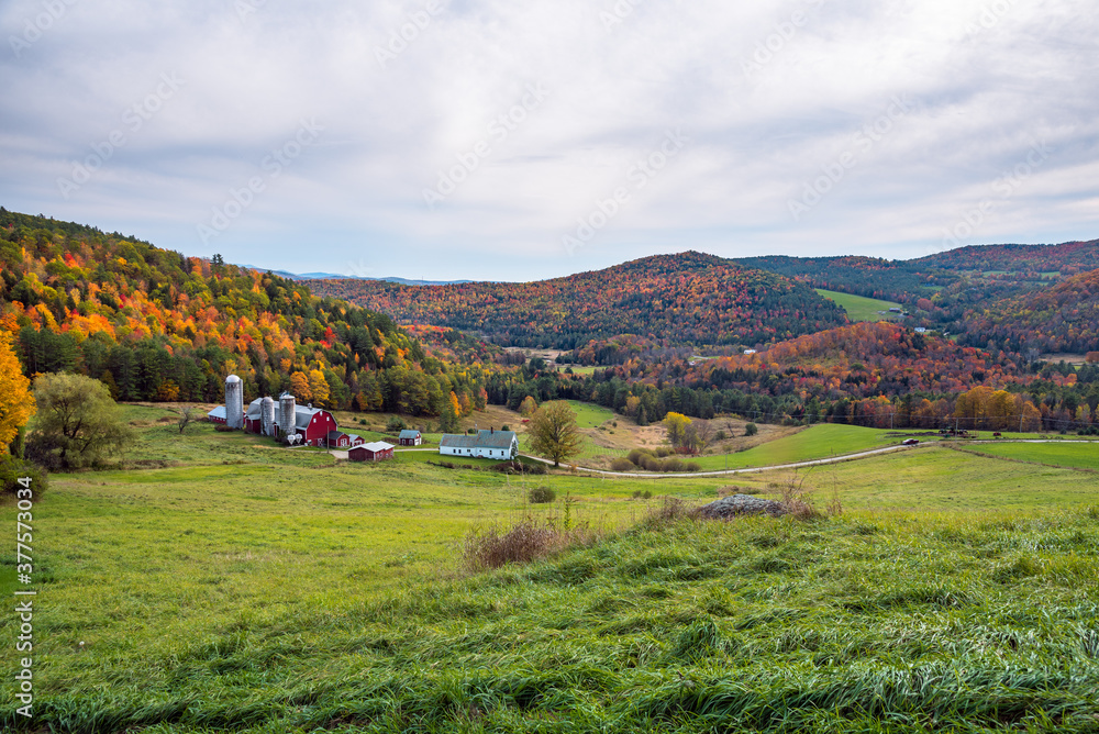 Farm in a rolling rural landscape with wooded hills at the peak of fall foliage on an overcast autumn day. Barnet, VT, USA.