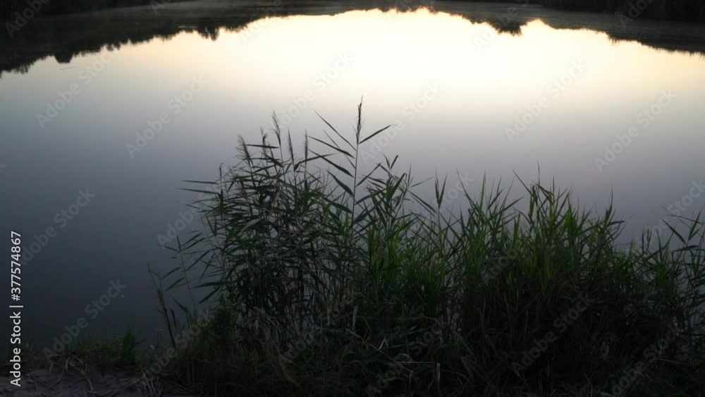evening over the lake,twilight on the lake after sunset, quiet and peaceful pond evening over the lake,twilight on the lake after sunset, quiet and peaceful pond
