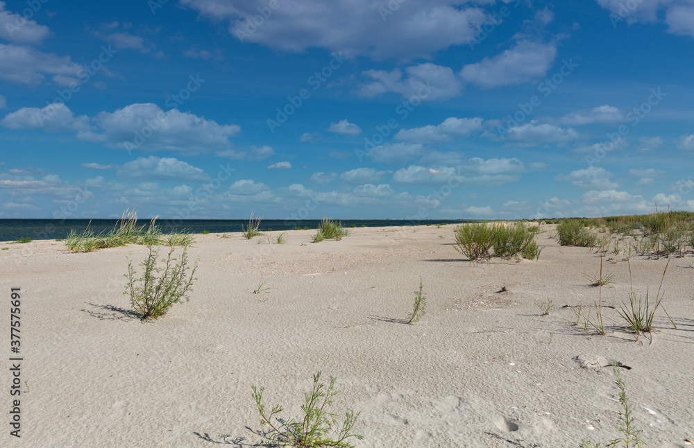 Wild beach landscape near Prymorske, Ukraine. Wild beach landscape near Prymorske, Ukraine.