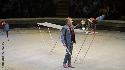 Performance of a perrot trainer in a circus photo