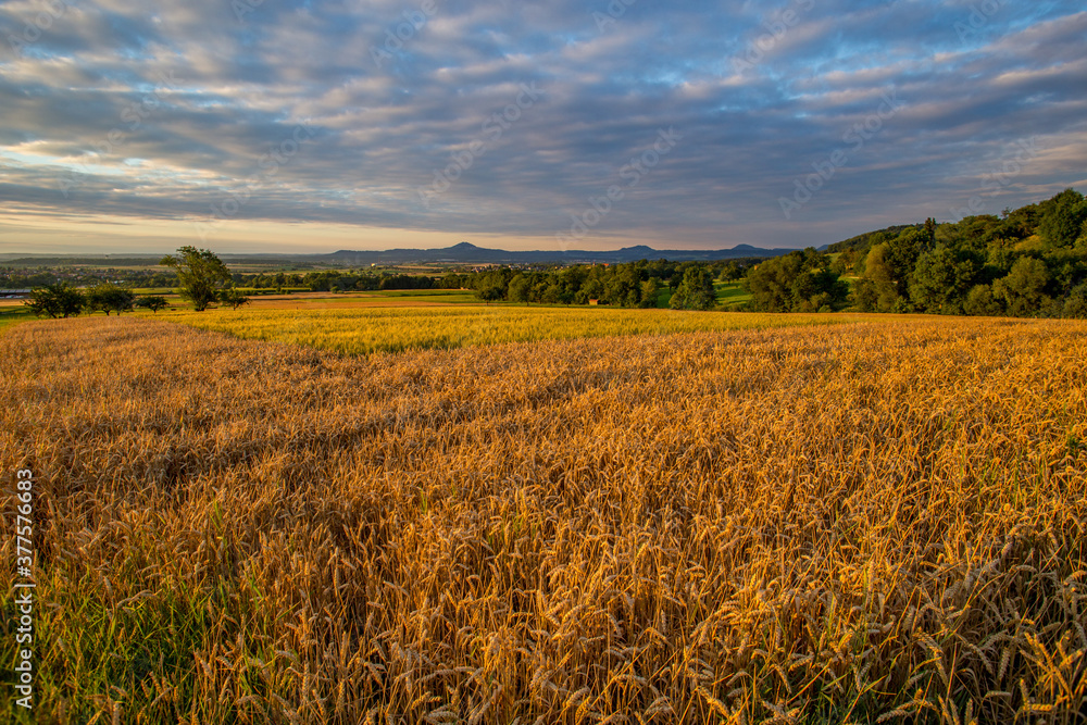 Blick von Gammelshausen auf die drei Kaiserberge Blick von Gammelshausen auf die drei Kaiserberge