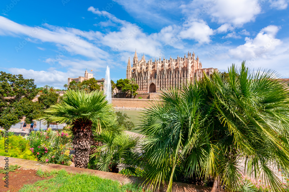 Cathedral of Santa Maria of Palma (La Seu) and palm trees, Palma de Mallorca, Spain