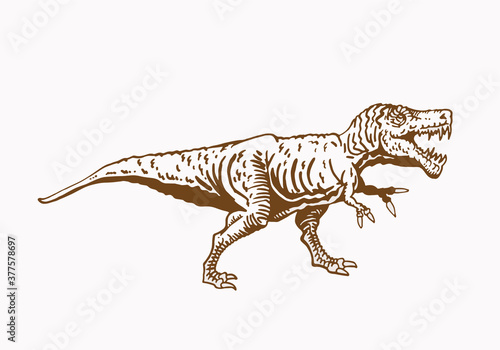 Vector sepia illustration of tyrannosaurus , graphical dinosaur