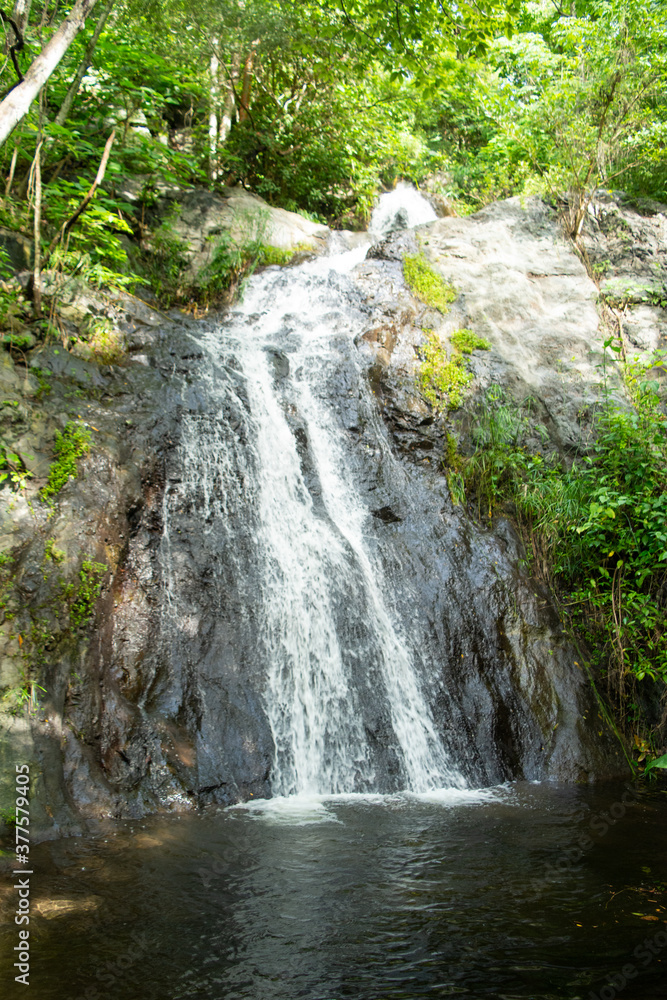 Fototapeta premium la sidra