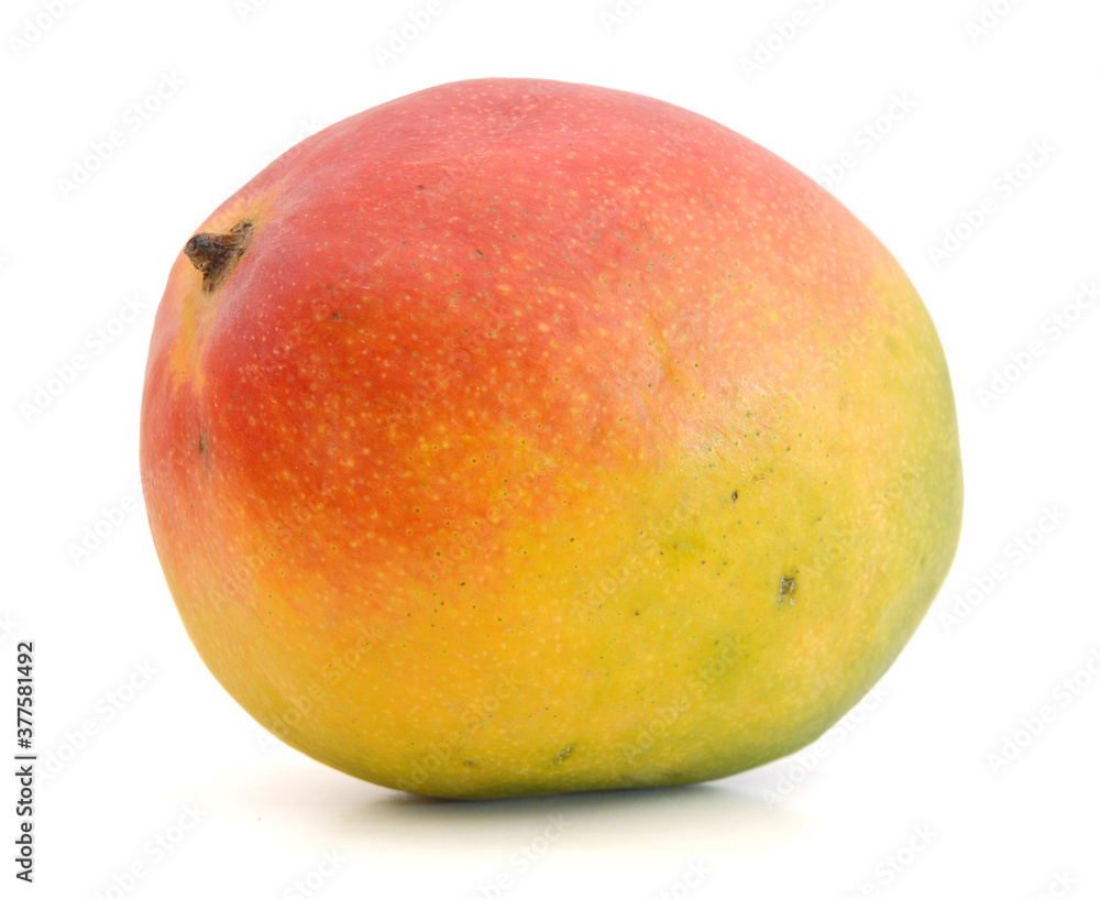 Mango fruit isolated on white background. Mango fruit isolated on white background.
