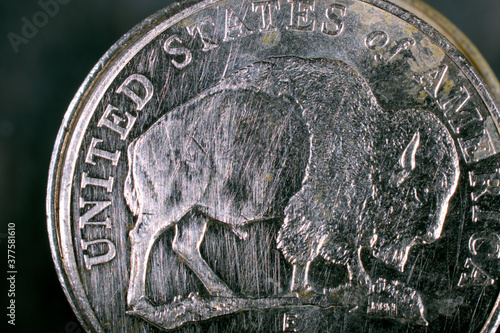 buffalo nickel close up