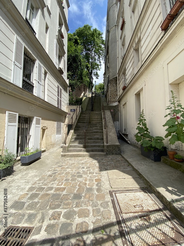 Ruelle pavés de Montmartre à Paris