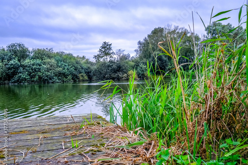 Wooden staging in South Walsham Dyke on the Norfolk Broads photo