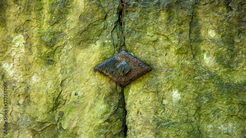 Fotografia Wet slate stone texture with green algae moss / sludge
